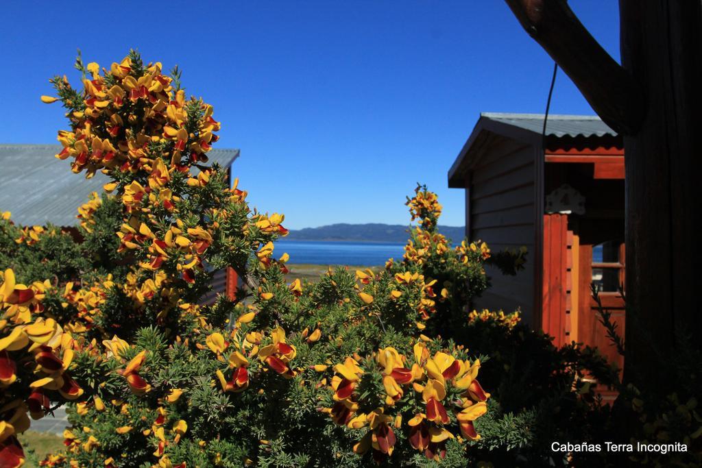 Villa Terra Incognita Ushuaia Exterior foto