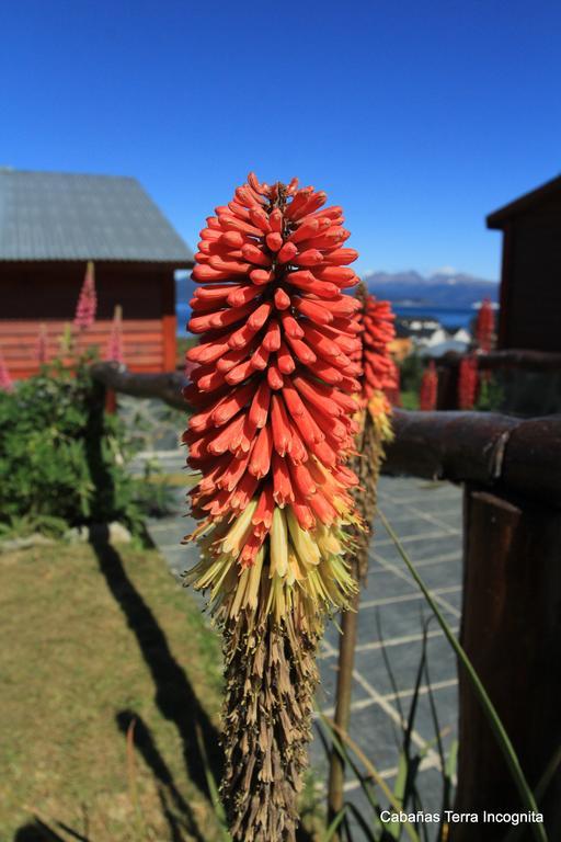 Villa Terra Incognita Ushuaia Exterior foto