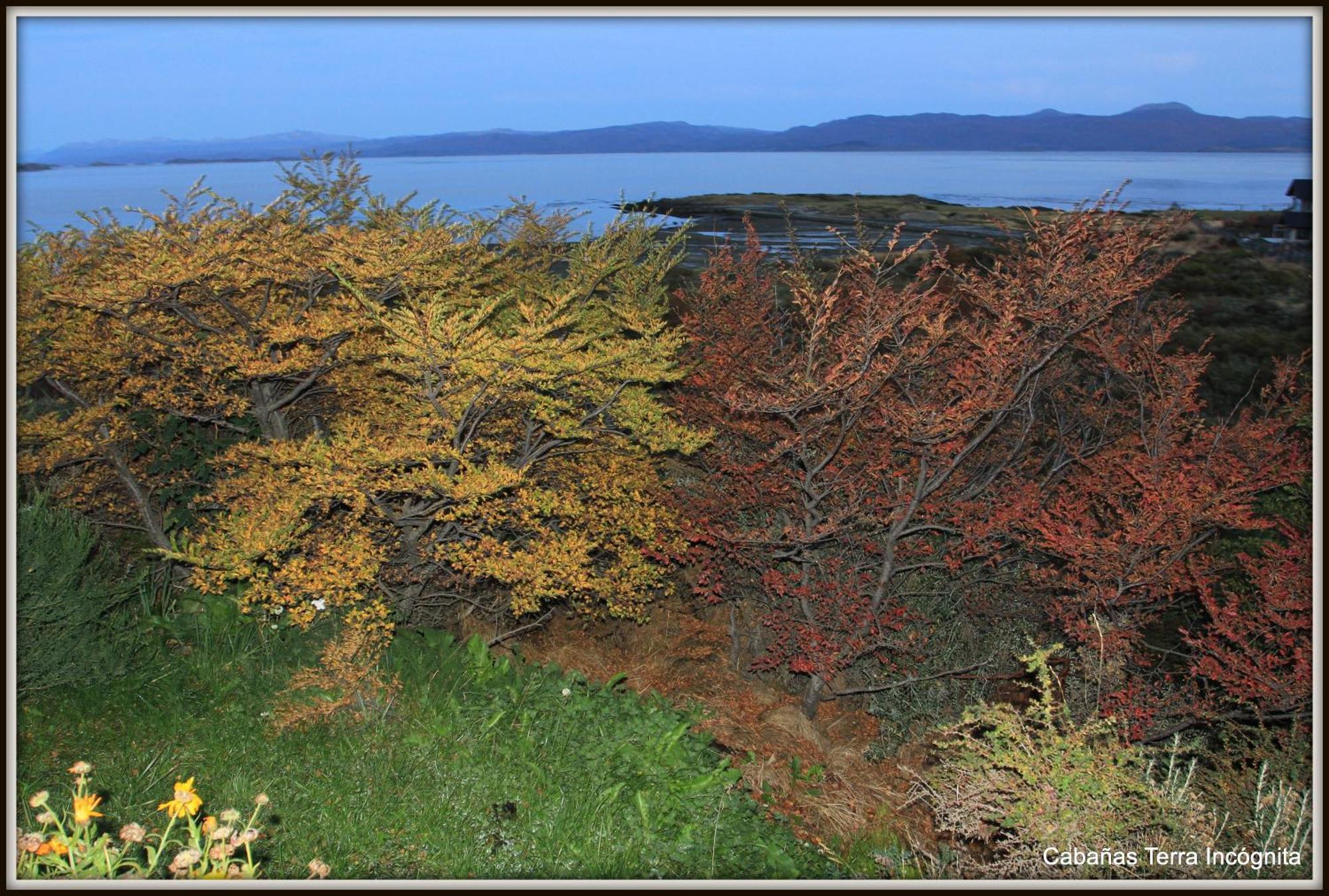 Villa Terra Incognita Ushuaia Zimmer foto